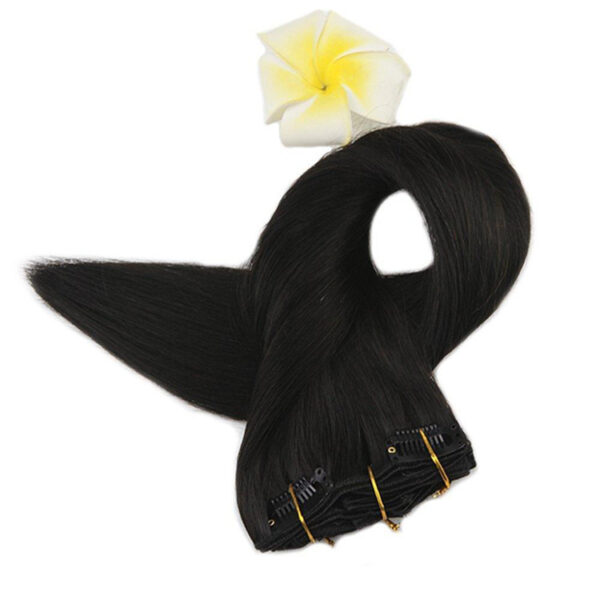 Real Hair Wigs - Image 2