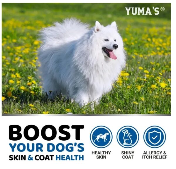 Omega 3 Fish Oil For Dogs 170 Chews Skin And Coat Supplement Omega 3 For Dogs Dry - Image 4