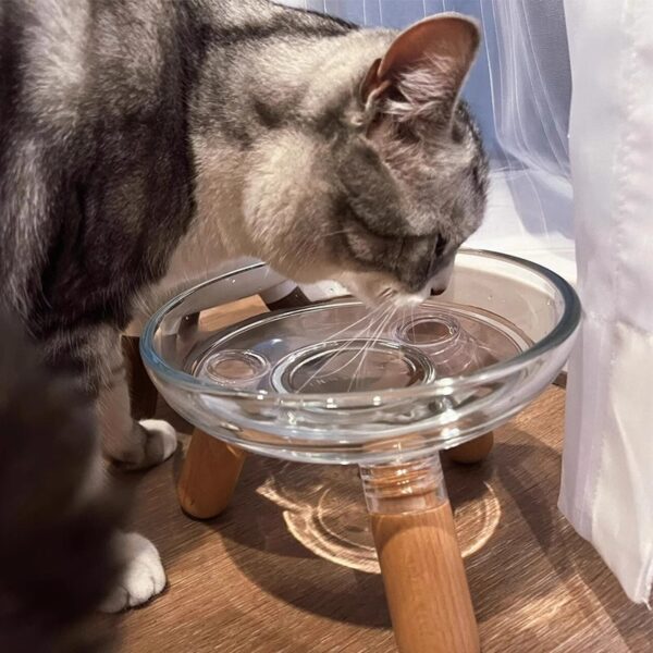 Not Easy To Knock Over Pet Bowl For Cervical Protection - Image 2