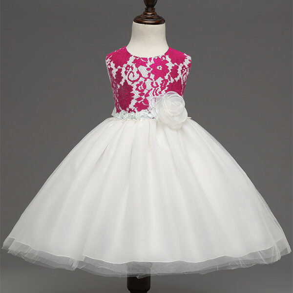 new European girls retro lace dress baby dress skirts wholesale baby full moon4 - Image 2