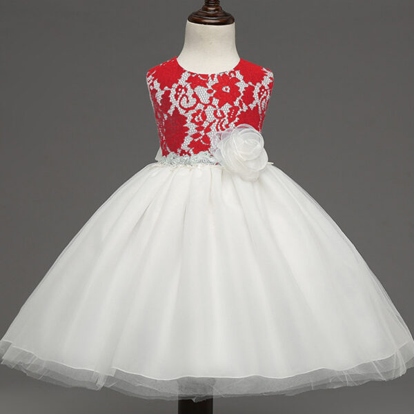 new European girls retro lace dress baby dress skirts wholesale baby full moon4 - Image 7
