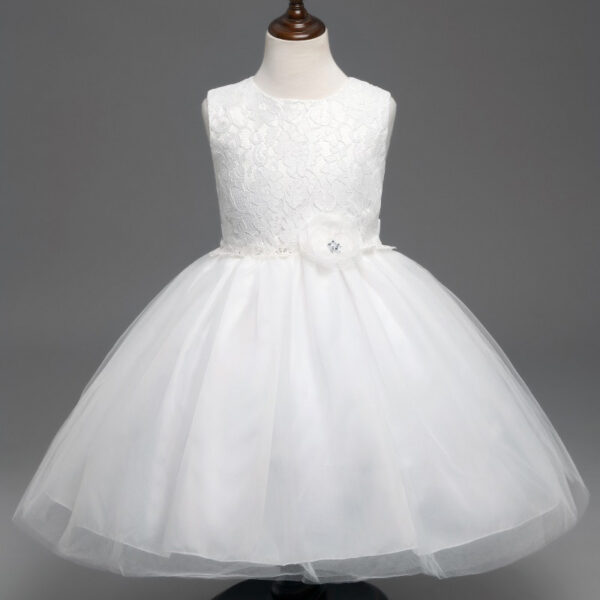 new European girls retro lace dress baby dress skirts wholesale baby full moon4 - Image 3
